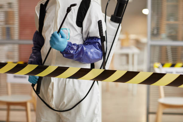 Professional Sewage Cleanup technician working in Randolph, MA